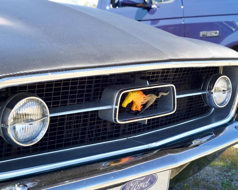 Mustang grille and running-horse emblem